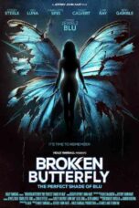 破碎的蝴蝶：完美的蓝色 (2024)Broken Butterfly